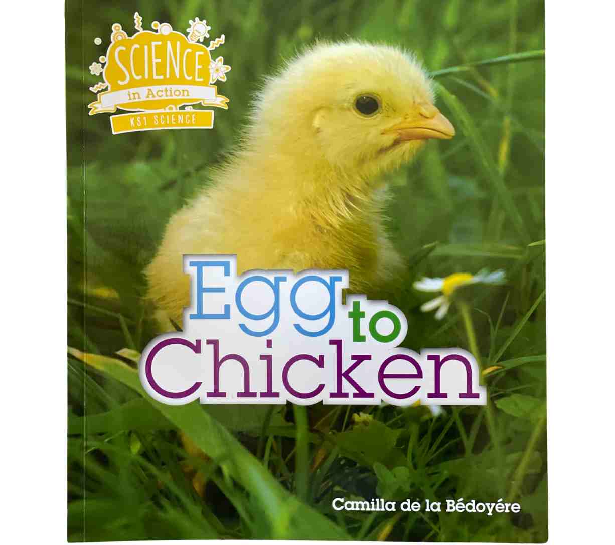 العلوم في العمل KS1 - من البيضة إلى الدجاجة