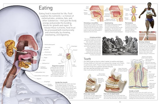 Human Body (Eyewitness)