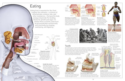 Human Body (Eyewitness)