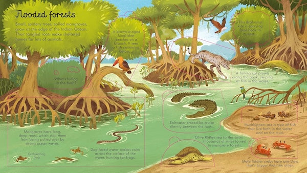 Look Inside Seas and Oceans