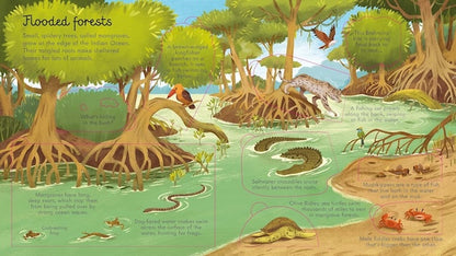 Look Inside Seas and Oceans