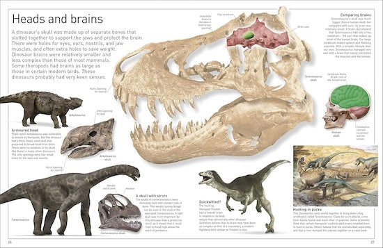 Dinosaur (Eyewitness)