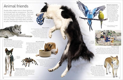 Animal (Eyewitness)