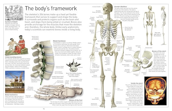 Human Body (Eyewitness)