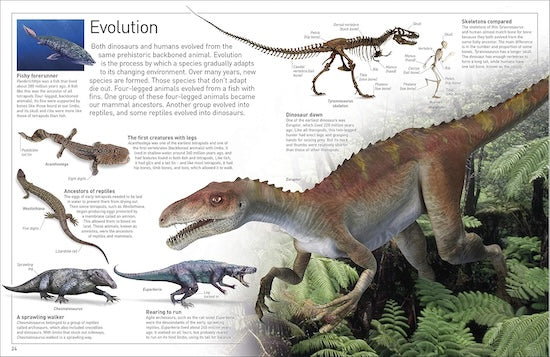 Dinosaur (Eyewitness)