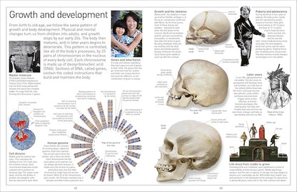 Human Body (Eyewitness)