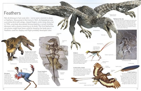 Dinosaur (Eyewitness)