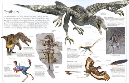 Dinosaur (Eyewitness)
