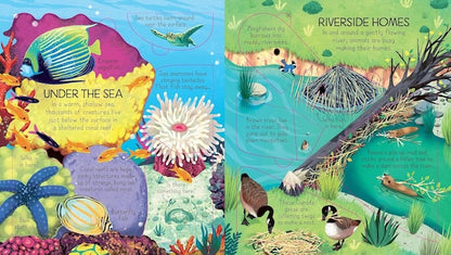 Look Inside Animal Homes