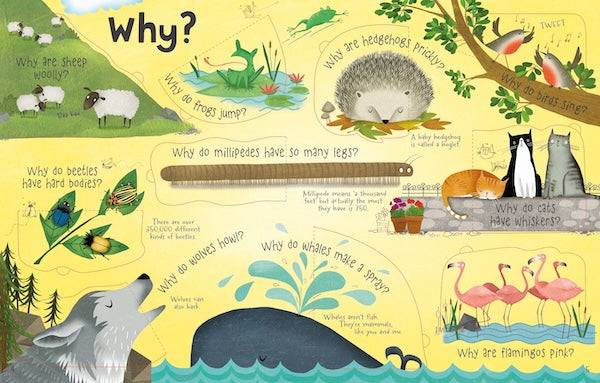 ارفع الغطاء: الأسئلة والأجوبة الأولى: لماذا نحتاج إلى النحل؟