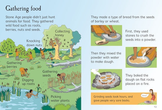 Usborne Phonics - حشرة في سجادة