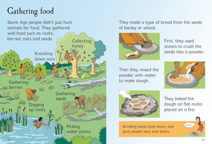 Usborne Phonics - حشرة في سجادة