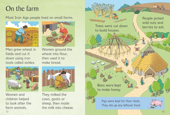 Usborne Phonics - حشرة في سجادة