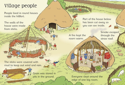 Usborne Beginners History: The Celts