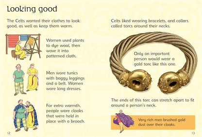Usborne Beginners History: The Celts