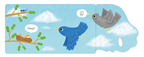 Up in the Sky (Big Flap Book)