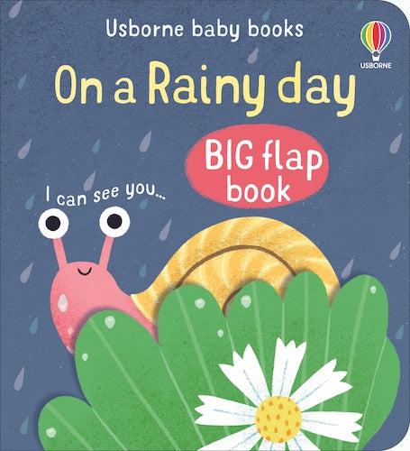 On a Rainy Day (Big Flap Book)