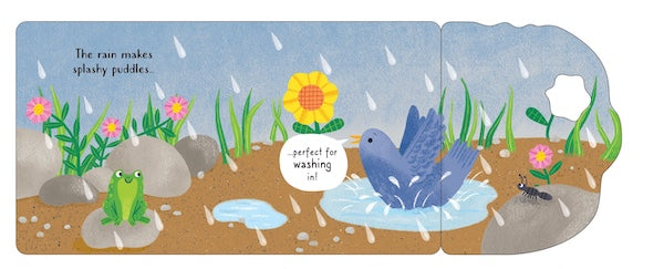On a Rainy Day (Big Flap Book)
