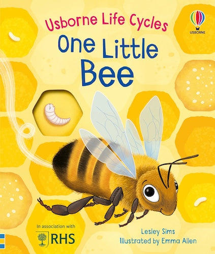 Usborne Life Cycles: One Little Bee
