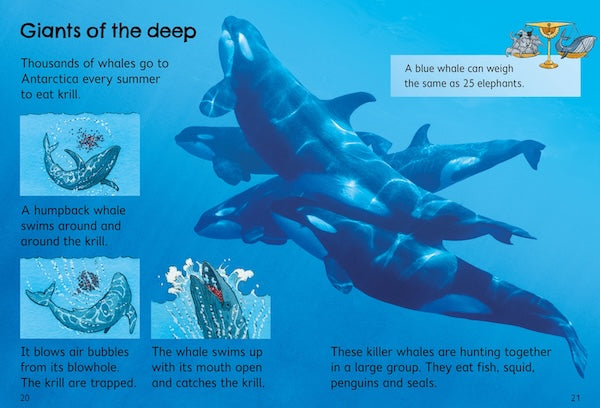 Usborne Beginners - Antarctica