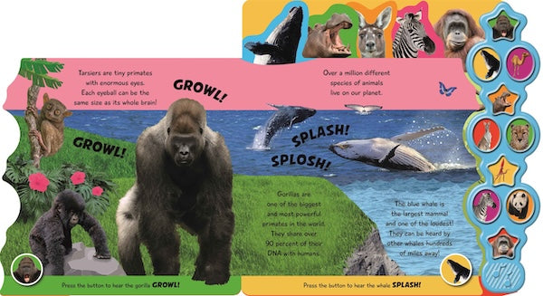 Incredible Animals (Sound Book)