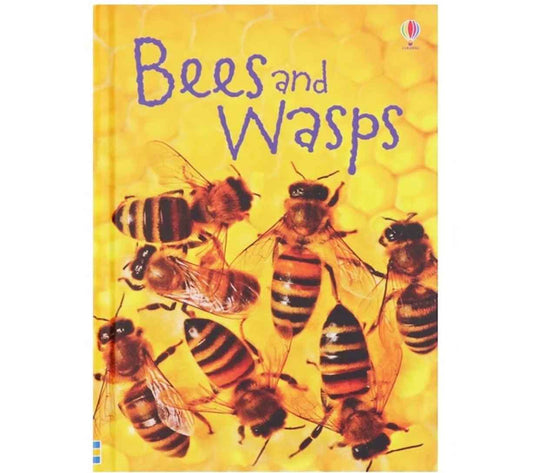 Usborne Beginners: Bees & Wasps