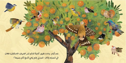 طلال وأرض البرتقال - Talal & The Land of Oranges