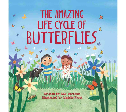 The Amazing Life Cycle of Butterflies