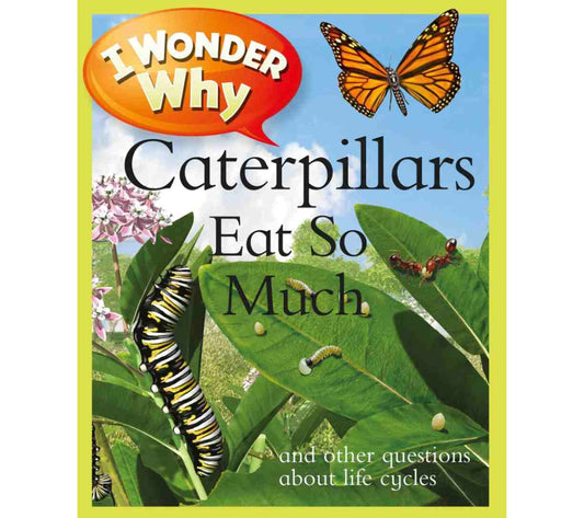 I Wonder Why Caterpillars Eat So Much and Other Questions About Life Cycles