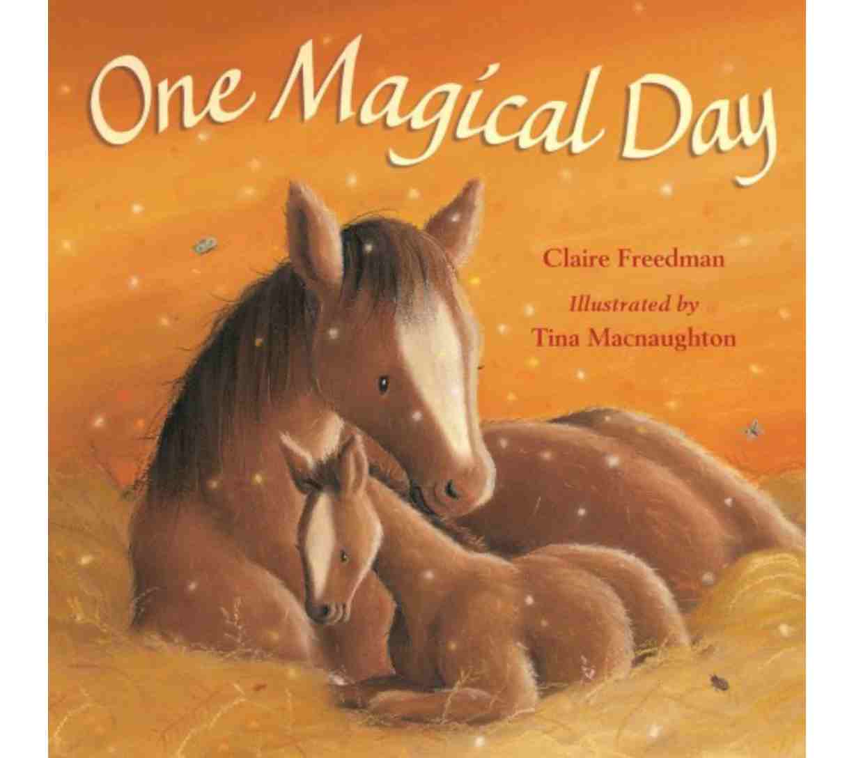 يوم سحري واحد