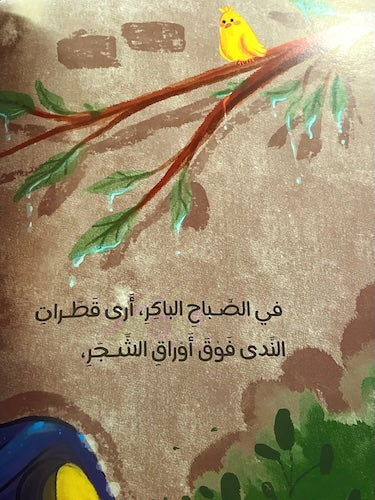 ماء في كل مكان