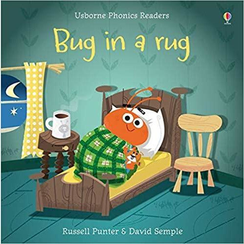 Usborne Phonics - Bug In a Rug